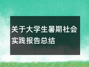 關(guān)于大學(xué)生暑期社會實(shí)踐報(bào)告總結(jié)