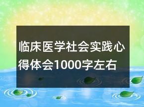 臨床醫(yī)學(xué)社會實(shí)踐心得體會1000字左右