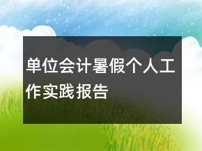 單位會計暑假個人工作實踐報告