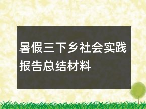 暑假三下鄉(xiāng)社會(huì)實(shí)踐報(bào)告總結(jié)材料