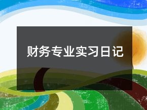 財(cái)務(wù)專業(yè)實(shí)習(xí)日記