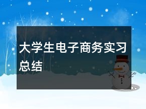 大學生電子商務實習總結(jié)