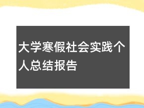 大學(xué)寒假社會實踐個人總結(jié)報告