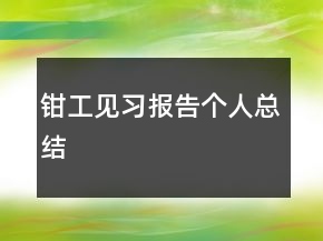 鉗工見(jiàn)習(xí)報(bào)告?zhèn)€人總結(jié)