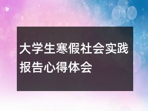 大學生寒假社會實踐報告心得體會