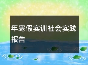 年寒假實訓(xùn)社會實踐報告