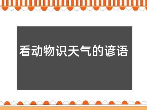 看動物識天氣的諺語
