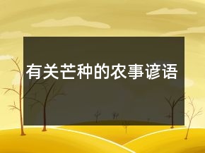 有關芒種的農(nóng)事諺語