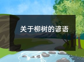 關(guān)于柳樹的諺語