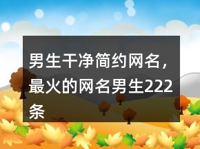 男生干凈簡約網(wǎng)名，最火的網(wǎng)名男生222條