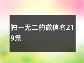 獨一無二的微信名219條