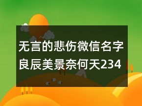 無(wú)言的悲傷微信名字：良辰美景奈何天234條