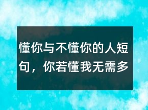 懂你與不懂你的人短句，你若懂我無需多言217條
