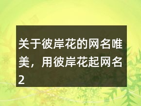 關(guān)于彼岸花的網(wǎng)名唯美，用彼岸花起網(wǎng)名246條