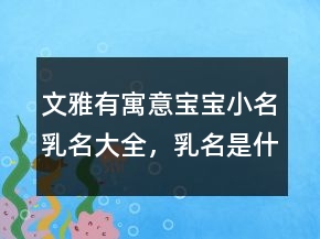 文雅有寓意寶寶小名乳名大全，乳名是什么意思237條