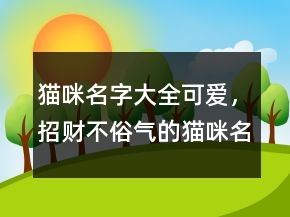 貓咪名字大全可愛，招財不俗氣的貓咪名字209條