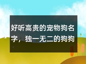 好聽(tīng)高貴的寵物狗名字，獨(dú)一無(wú)二的狗狗名字238條