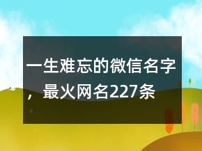 一生難忘的微信名字，最火網(wǎng)名227條