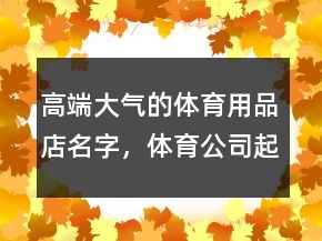高端大氣的體育用品店名字，體育公司起名大全集200條