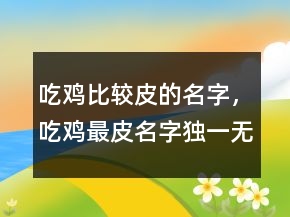吃雞比較皮的名字，吃雞最皮名字獨(dú)一無(wú)二231條