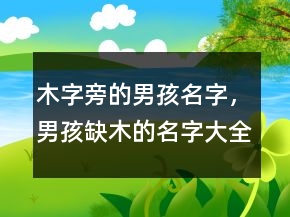 木字旁的男孩名字，男孩缺木的名字大全集245條