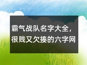 霸氣戰(zhàn)隊(duì)名字大全，很賤又欠揍的六字網(wǎng)名230條