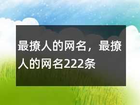 最撩人的網(wǎng)名，最撩人的網(wǎng)名222條