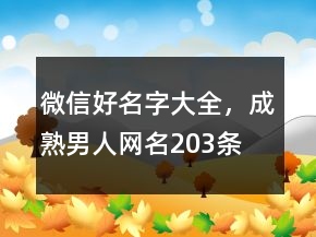 微信好名字大全，成熟男人網(wǎng)名203條