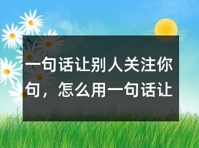 一句話讓別人關(guān)注你句，怎么用一句話讓我記住你211條