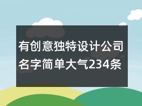 有創(chuàng)意獨特設(shè)計公司名字簡單大氣234條