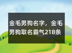 金毛男狗名字，金毛男狗取名霸氣218條