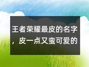 王者榮耀最皮的名字，皮一點又蠻可愛的王者名字210條