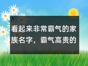 看起來(lái)非常霸氣的家族名字，霸氣高貴的男名210條