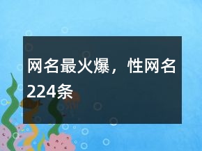 網(wǎng)名最火爆，性網(wǎng)名224條