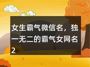 女生霸氣微信名，獨(dú)一無二的霸氣女網(wǎng)名230條