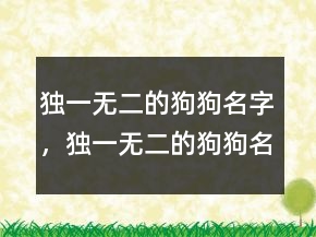 獨一無二的狗狗名字，獨一無二的狗狗名字200條