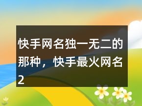 快手網名獨一無二的那種，快手最火網名208條