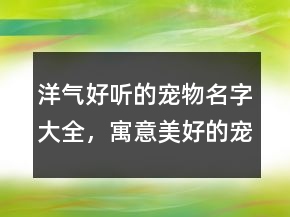 洋氣好聽的寵物名字大全，寓意美好的寵物名字226條