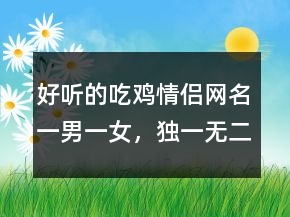 好聽的吃雞情侶網(wǎng)名一男一女，獨(dú)一無二的吃雞情侶名217條