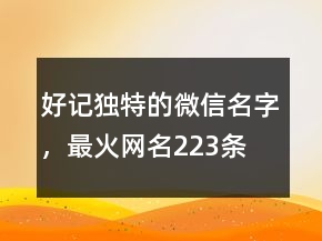 好記獨(dú)特的微信名字，最火網(wǎng)名223條