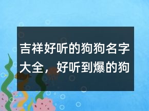 吉祥好聽的狗狗名字大全，好聽到爆的狗狗名字205條