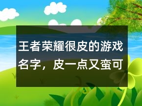 王者榮耀很皮的游戲名字，皮一點(diǎn)又蠻可愛(ài)的王者名字241條