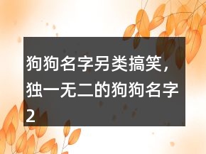 狗狗名字另類搞笑，獨(dú)一無(wú)二的狗狗名字200條