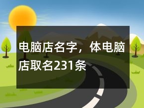電腦店名字，體電腦店取名231條