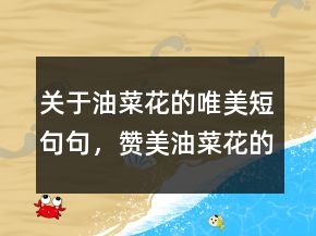 關(guān)于油菜花的唯美短句句，贊美油菜花的短句242條