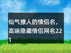 仙氣撩人的情侶名，高端隱藏情侶網(wǎng)名221條