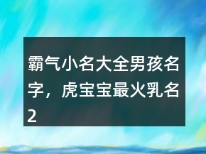 霸氣小名大全男孩名字，虎寶寶最火乳名250條