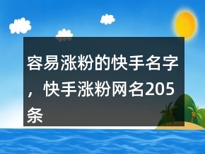 容易漲粉的快手名字，快手漲粉網(wǎng)名205條