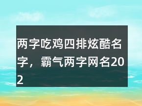 兩字吃雞四排炫酷名字，霸氣兩字網(wǎng)名202條