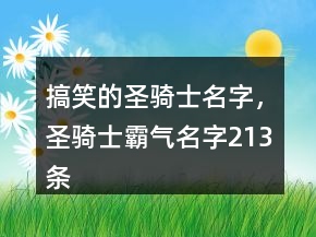 搞笑的圣騎士名字，圣騎士霸氣名字213條